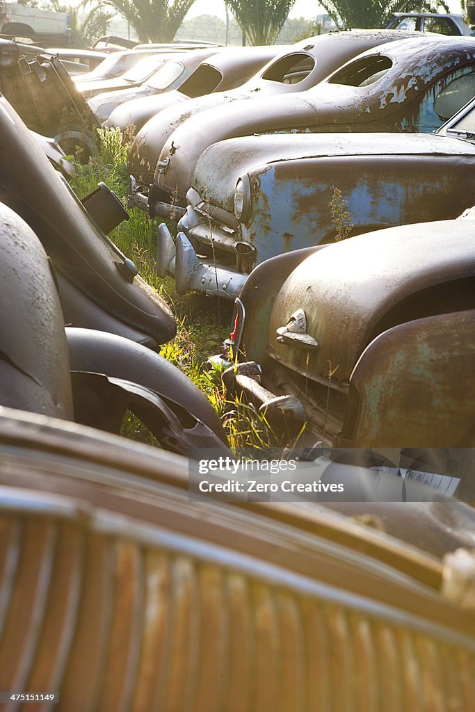 Vintage cars abandoned in scrap yard