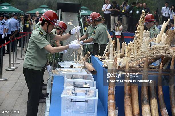 Officials of the forestry authority load ivory pieces confiscated from around the country onto a crusher on May 29, 2015 in Beijing, China. Officials...