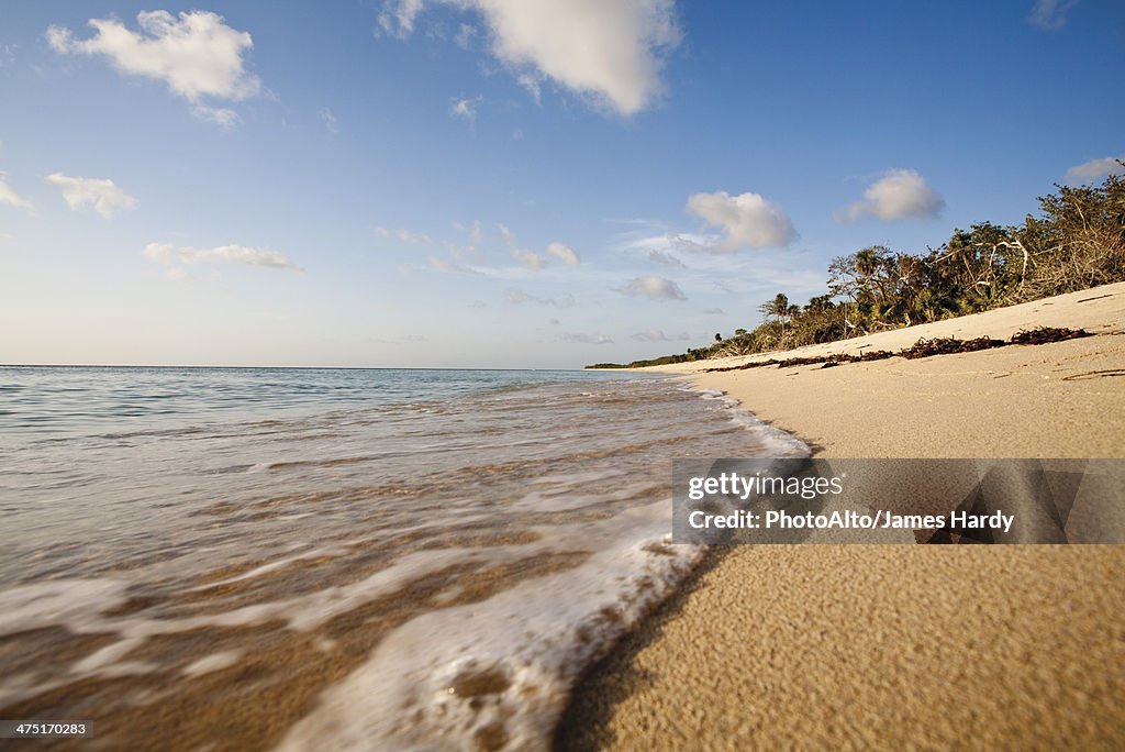 Tranquil beach scene