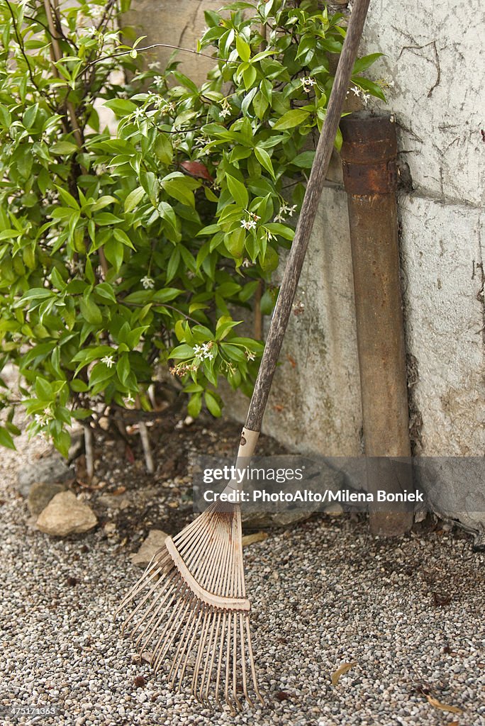 Rake leaning against stone wall