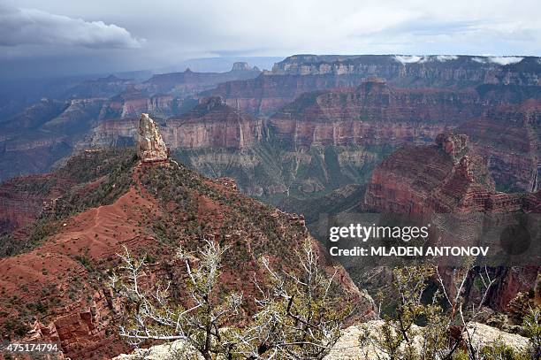 View from the North Rim of the Grand Canyon on May 2015. AFP PHOTO/ MLADEN ANTONOV