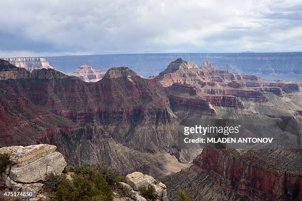 View from the North Rim of the Grand Canyon on May 2015. AFP PHOTO/ MLADEN ANTONOV