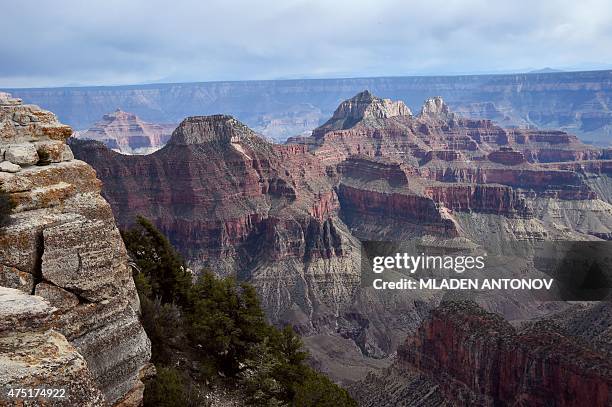 View from the North Rim of the Grand Canyon on May 2015. AFP PHOTO/ MLADEN ANTONOV