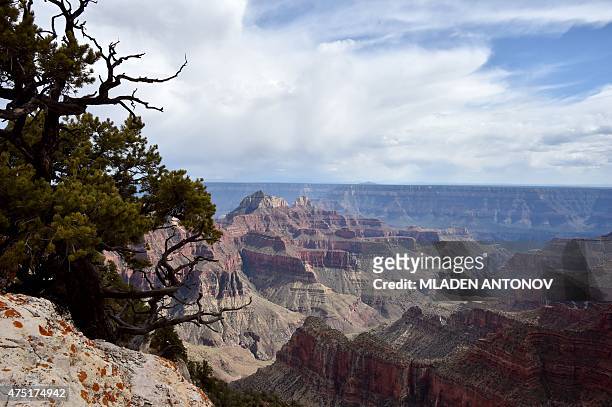 View from the North Rim of the Grand Canyon on May 18, 2015. AFP PHOTO/ MLADEN ANTONOV