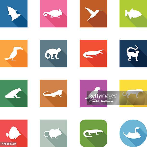 flache icons-exotische tiere - piranha stock-grafiken, -clipart, -cartoons und -symbole