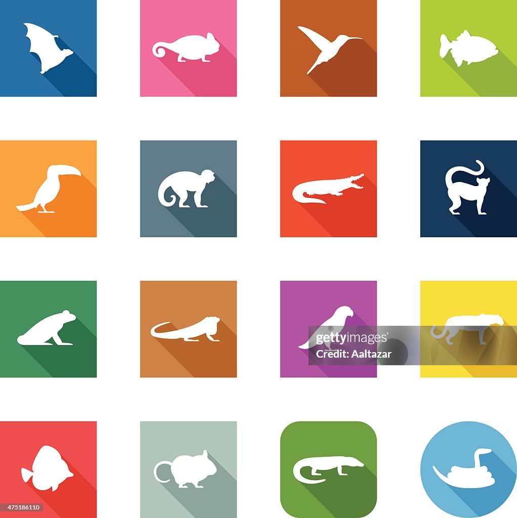 Flat Icons - Exotic Animals