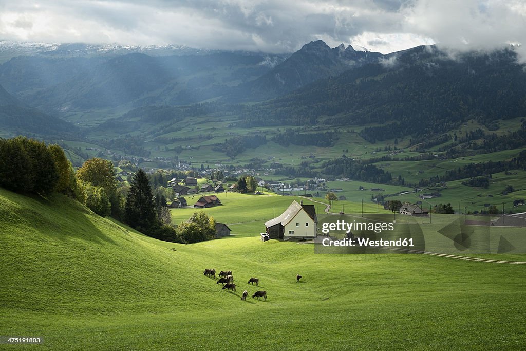 Switzerland, Canton of St. Gallen, Swiss alps