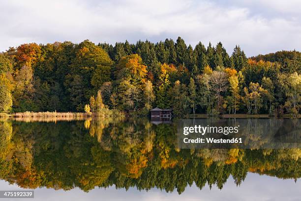 germany, upper bavaria, weilheim, view of lake haarsee - upper bavaria stock pictures, royalty-free photos & images