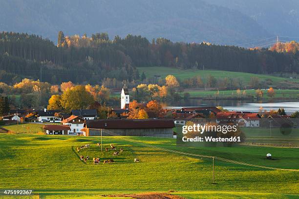 germany, bavaria, upper bavaria, pfaffenwinkel, riegsee - riegsee stock-fotos und bilder
