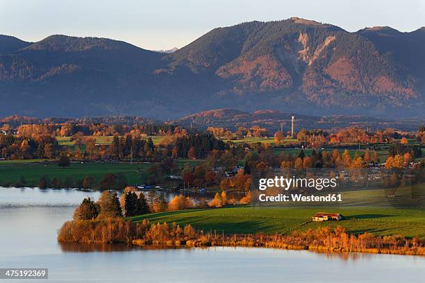 germany, bavaria, upper bavaria, pfaffenwinkel, riegsee - riegsee stock-fotos und bilder
