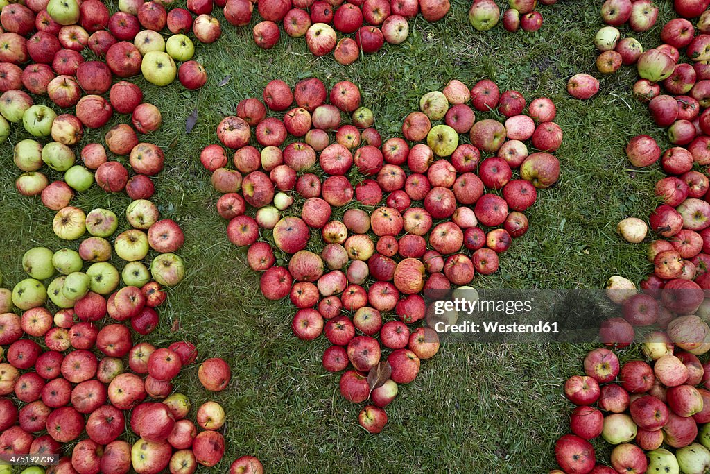 Germany, Schleswig-Holstein, Heart shaped with apples