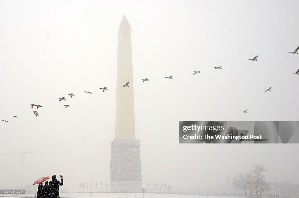 WASHINGTON, D.C. FEBRUARY 25,  2014: Visitors at the Washington