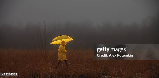 little girl crossing the field in fog - yellow umbrella stock pictures, royalty-free photos & images