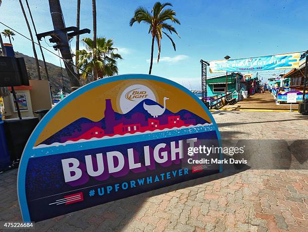 Bud Light transformed Catalina Island into Whatever, USA on May 29, 2015 in Catalina Island, California. Bud Light invited 1,000 consumers to...