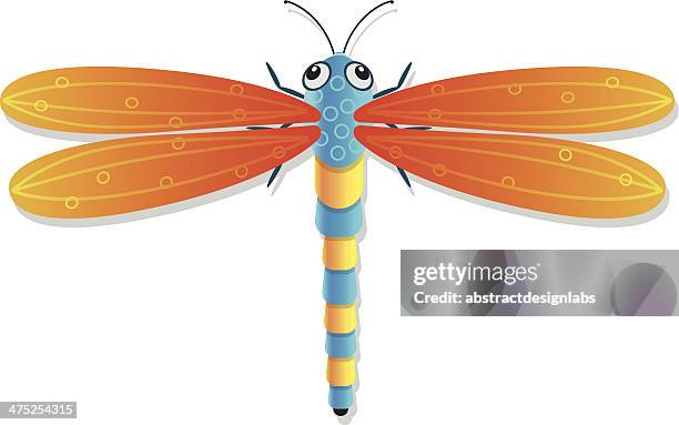dragon fly - dragonfly stock illustrations