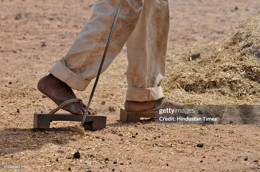 Scorching Heat Wave Sweeps India, More Than 1,800 Dead