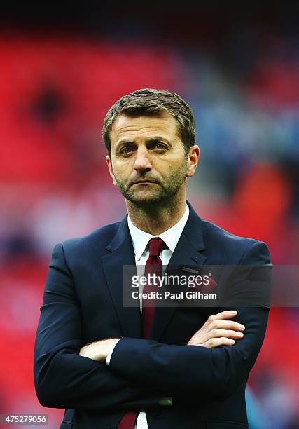 Tim Sherwood manager of Aston Villa looks dejected in defeat after the FA Cup Final between Aston Villa and Arsenal at Wembley Stadium on May 30,...