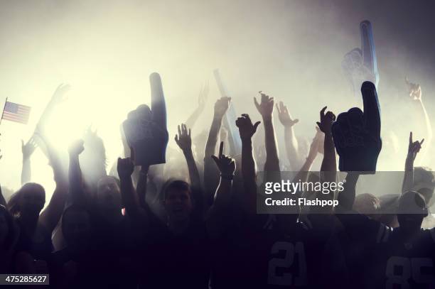 crowd of sports fans cheering - incitare foto e immagini stock