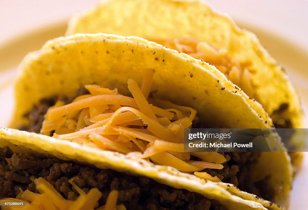 Mexican tacos filled with mince and grated cheese