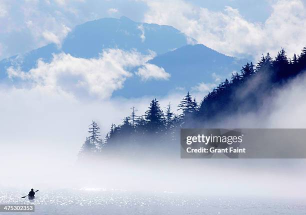 kayaker in ocean fog - kayaking sul mare foto e immagini stock