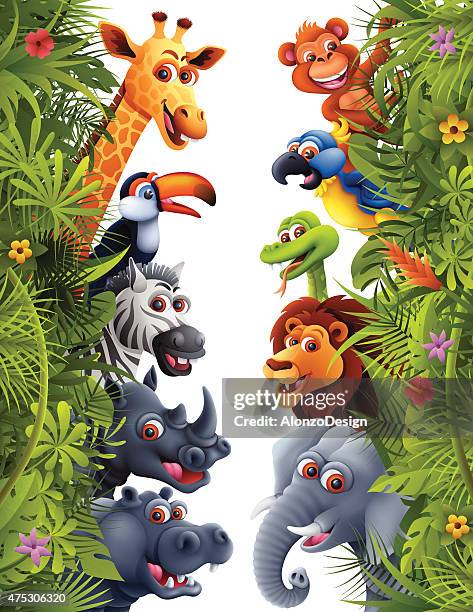 dschungel tiere - tropischer regenwald stock-grafiken, -clipart, -cartoons und -symbole