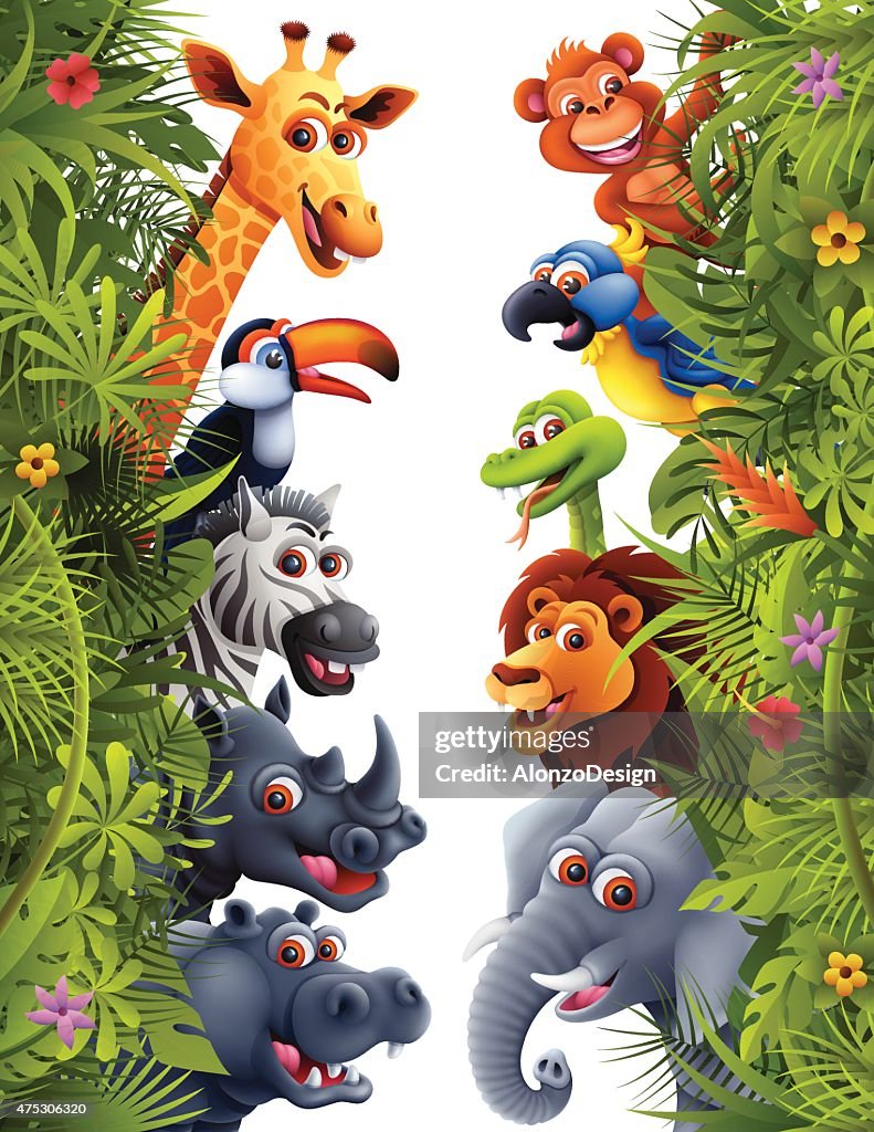 Animais da selva