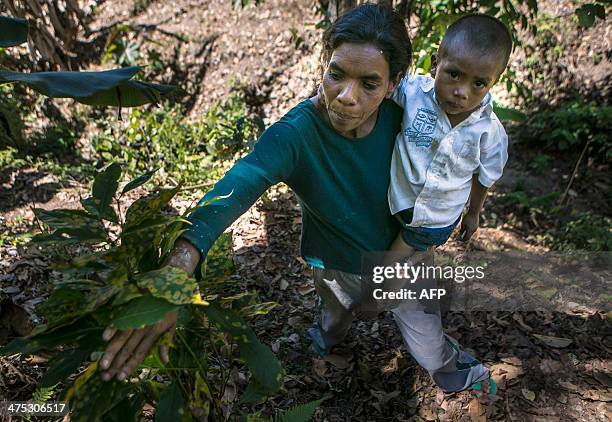 Nicaraguan coffee grower Gloria Balladares shows a rust blighted coffee plant at a plantation near Somoto, 200km from Managua on February 26, 2014....