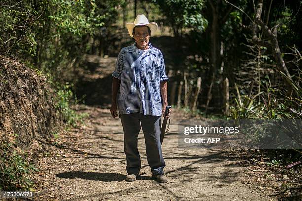 Nicaraguan coffee grower Fidencio Gonzales at a coffee plantation near Somoto, 200km from Managua on February 26, 2014. The 2013-2014 coffee harvest...