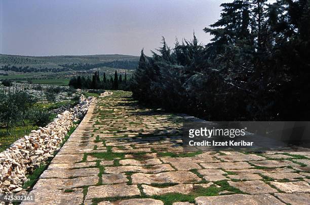 apamea, syria, old roman paved road - hama syria ストックフォトと画像