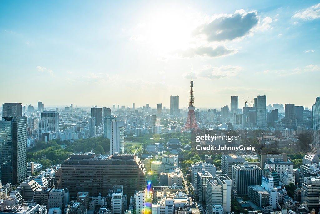 Tokyo City Skyline