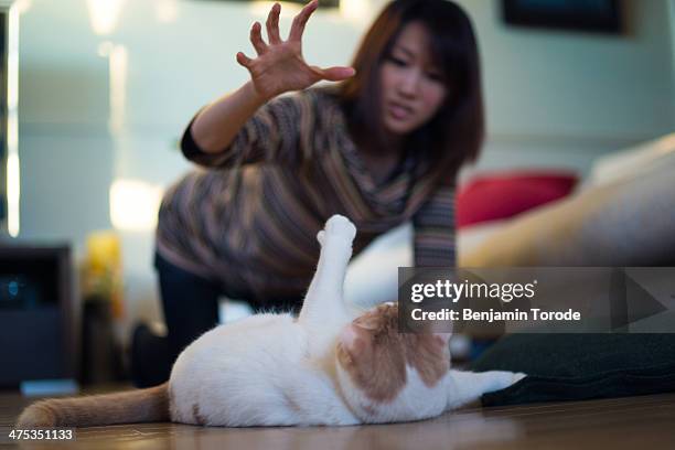pretty girl playfighting with white cat on floor - play fight stock pictures, royalty-free photos & images