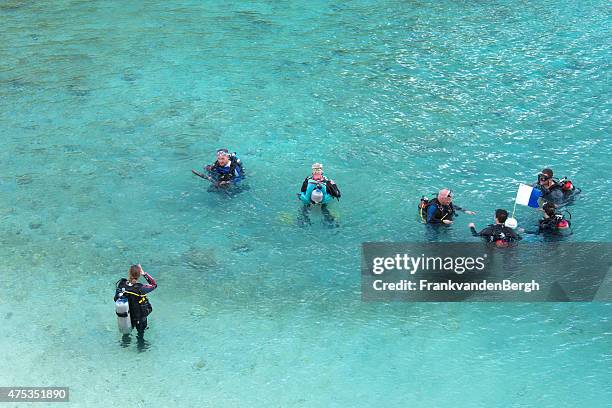 scuba diving class - curaçao stock pictures, royalty-free photos & images