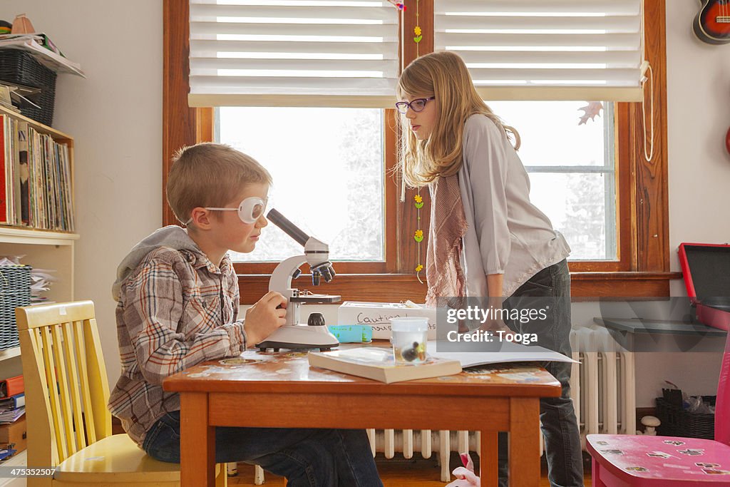 Sibling working together on science project