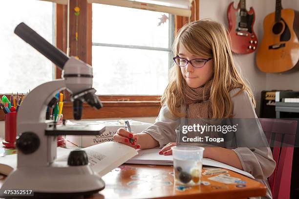 young girl studying science - banbossy stock pictures, royalty-free photos & images