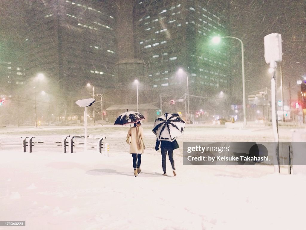 White Valentine Night in Tokyo