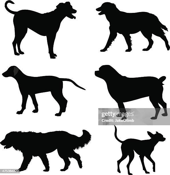 ilustrações de stock, clip art, desenhos animados e ícones de silhuetas de cão - mixed breed dog