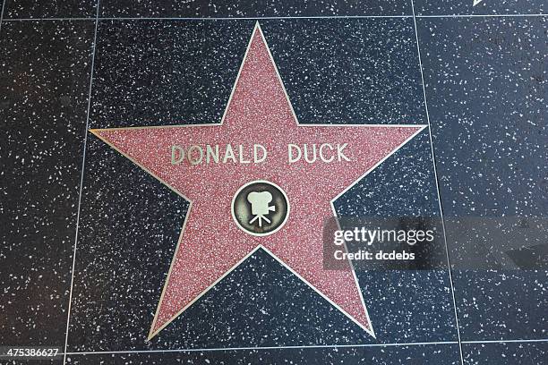 hollywood walk of fame star donald duck - donald duck stock pictures, royalty-free photos & images