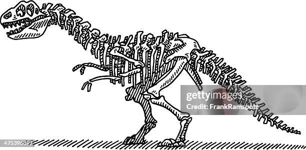 ilustraciones, imágenes clip art, dibujos animados e iconos de stock de dinosaur los huesos dibujo - esqueleto de animal