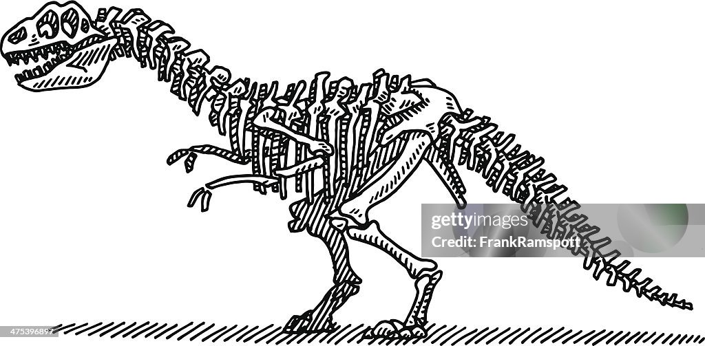 Dinosaur Bones Drawing