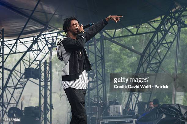 Joey Badass performs at We Love Green Festival on May 31, 2015 in Paris, France.