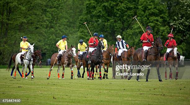 dos polo equipos desafiante para la pelota - polo horse fotografías e imágenes de stock