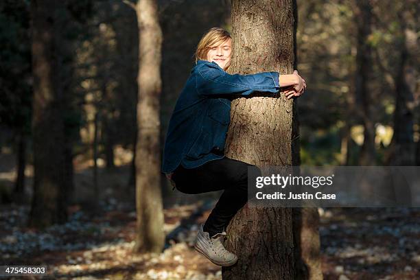 young blond boy hugging a tree in the sunlight - tree hugging stock pictures, royalty-free photos & images