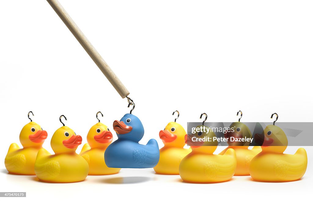 Hooking rubber duck