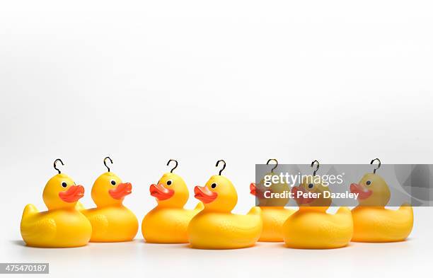 line of yellow rubber ducks with hooks - rubber duck stock pictures, royalty-free photos & images