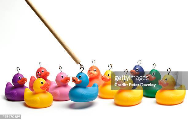 hooking multi coloured rubber ducks - cible facile photos et images de collection
