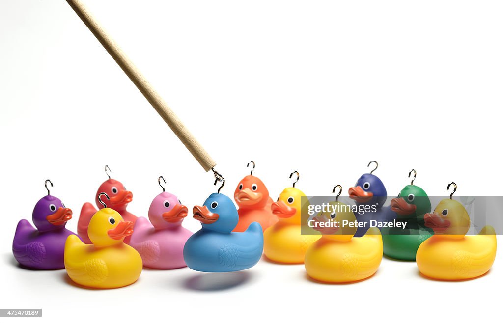 Hooking multi coloured rubber ducks