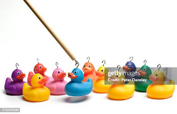 hooking multi coloured rubber ducks - choosing imagens e fotografias de stock