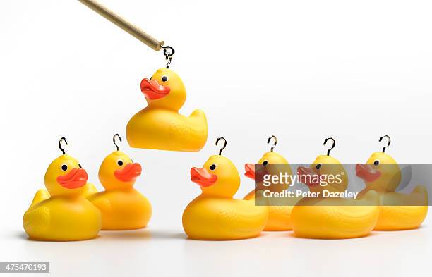 hooking yellow rubber ducks - cible facile photos et images de collection