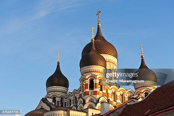 alexander nevsky cathedral - catedral de san alejandro nevski fotografías e imágenes de stock