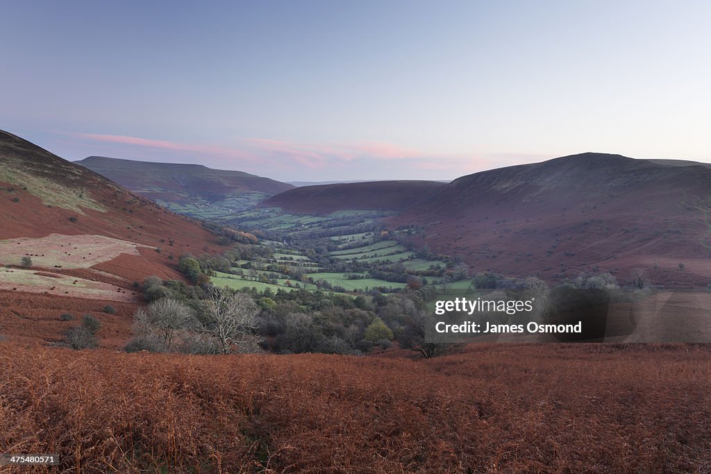 Green valley (Cwm Sorgwm) in the wild bracken.